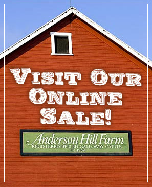 Anderson Hill Farm Inaugural Online Sale