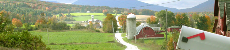 Contact Us Header Image