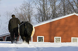 Only The Best Bloodlines