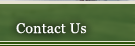 Contact Us Menu Item