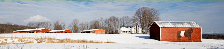 History Page Header Image