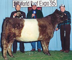 Anderson Hill Kitten