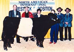 Anderson Hill Lindasara