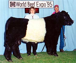 Anderson Hill Lothario