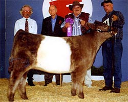 Anderson Hill Ultra Sweet